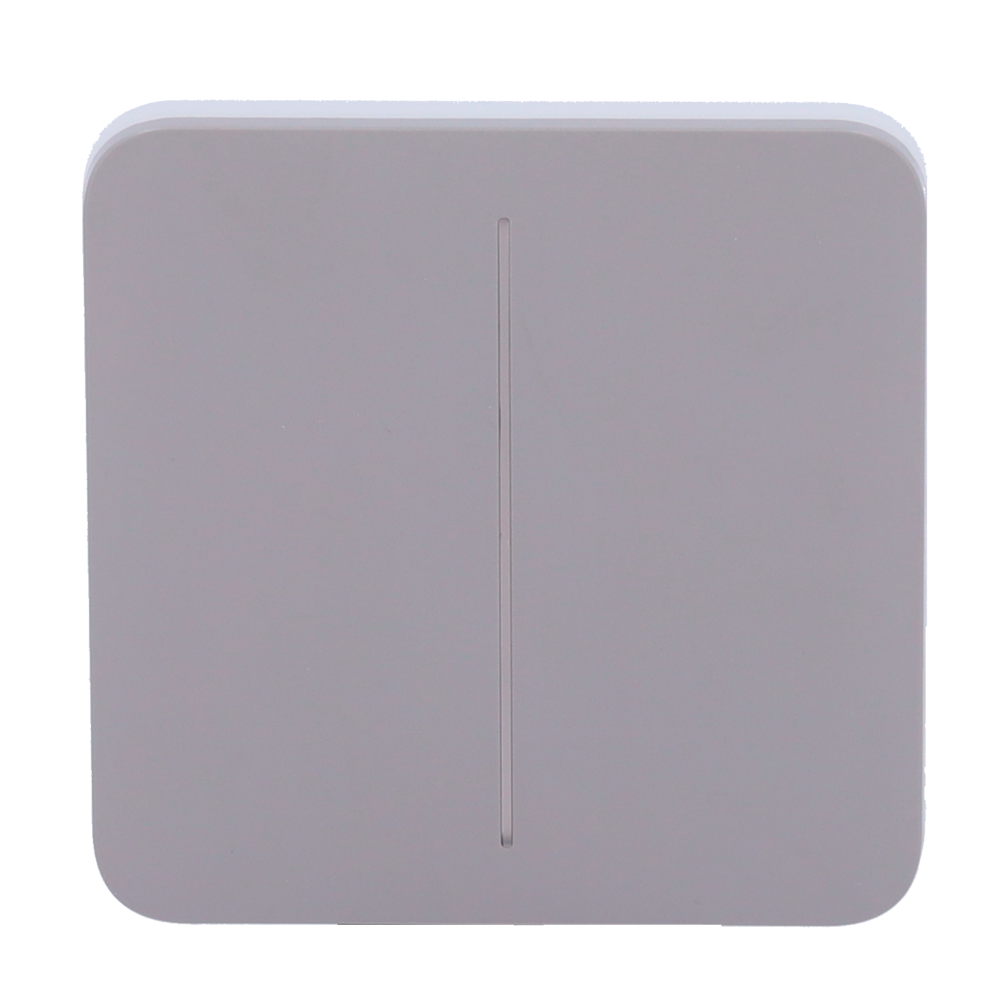 Panneau tactile pour double interrupteur d'éclairage  - Compatibilité avec AJ-LIGHTCORE-2G - Rétro-éclairage LED - Clavier tactile sans contact - Couleur Gris - Ajax - LightSwitch SoloButton