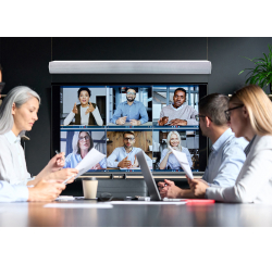 Colonne barre de son amplifiée 240W avec 2 micros main sans fil - Bluetooth